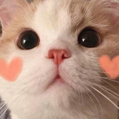 یونیس خان avatar