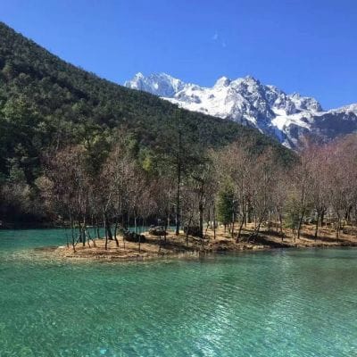سارا نذیر avatar